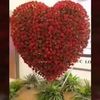 user870340054