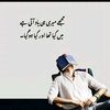 0336440017978699zainkhan