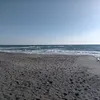 nagipt.luvinori