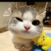 megan_catrl