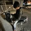 user5461801760001