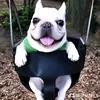 _maldini_847