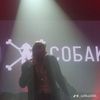 zhadan_fan2
