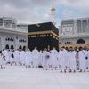 al.wafa491