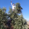 osman45292