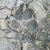 l1839227378229917