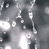 بـــــــــــــــــحــــــــر