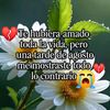 angelaruiz8566
