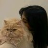 053798sheeb