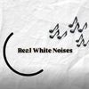 realwhitenoises