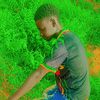 moussa.diarra342