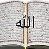 denmohammad.sekan