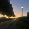 emma_hmb0