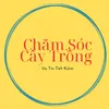 chamsoccaytrong8386