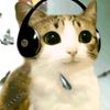 cofferyheffley