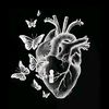 user3610619820316