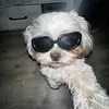 shiu__secreta