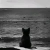 tvt.2_10