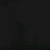 el_carlitos333