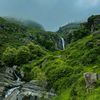 naturegallery44