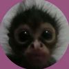 whotfismolly_22