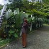piawv_