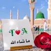 tehminaali19