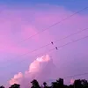 zakiyasultanariy8