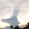 zxgjkowwww