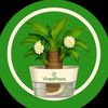 LeafMuse02