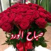 hanihani3934
