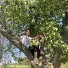 cutie_miyy