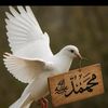 user3731046818144