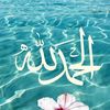 samiachekh