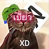 yo.haha6