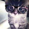 the_onlynay21