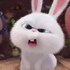 im_ayamaryammm0