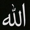 user81534820461260