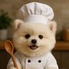 chefpomobites