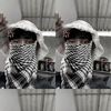 tengsey8