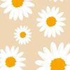 faria.noor.faria1