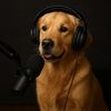 BarkCast