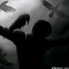 mrkasiman31