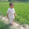 gul.bashar87