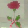 rana.talha69147