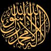 vioceofislam473