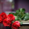 asad_073104