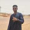 user81769288630407