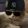 grgraebzdi2