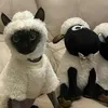 cat.funny791